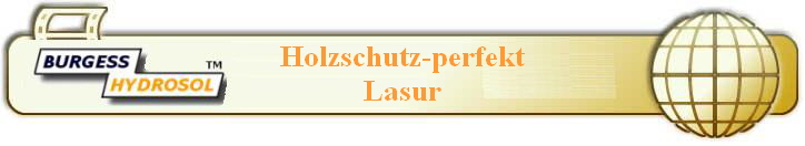 Holzschutz-perfekt
Lasur